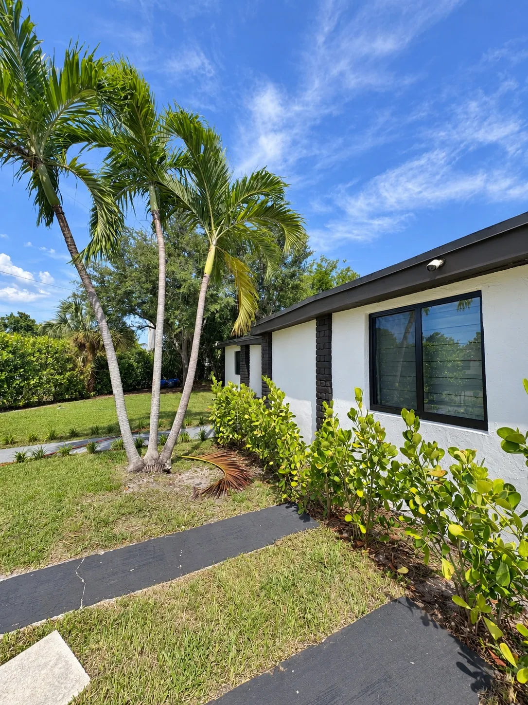 Side yard