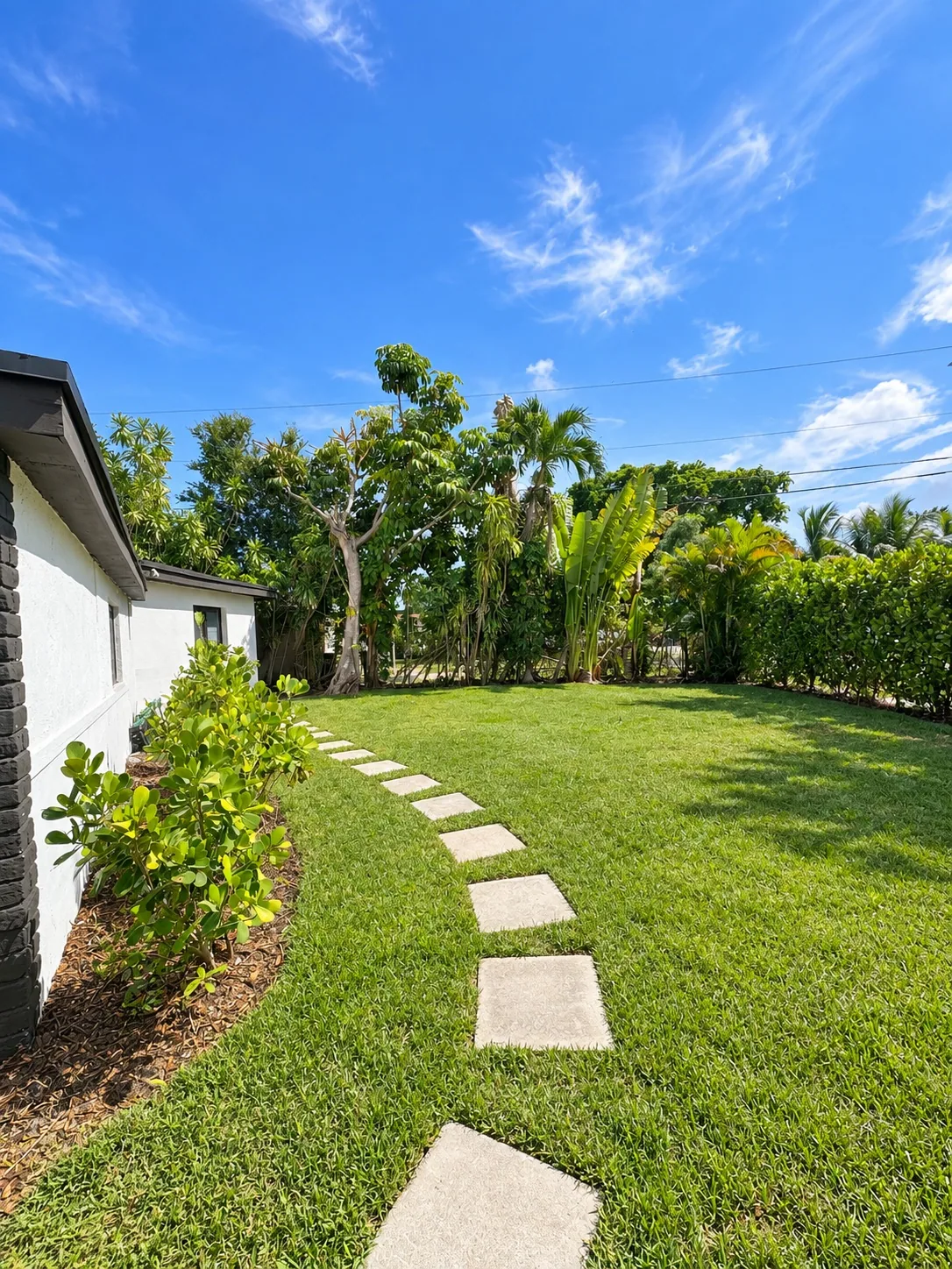 Back yard
